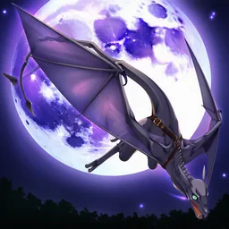 夜空を飛ぶ飛竜